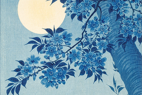 Blue floral illustration with full moon background.