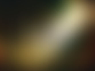 How Not to be an Orphan Company