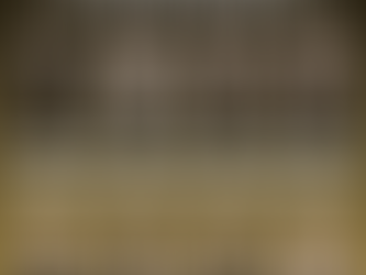 Nome de cada decote e o efeito de cada um.