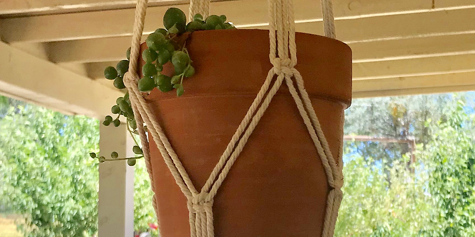 Macrame Plant Hanger