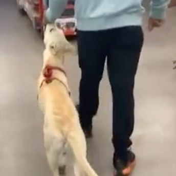 Screen Shot 2023-02-13 at 7.08.09 PM.png