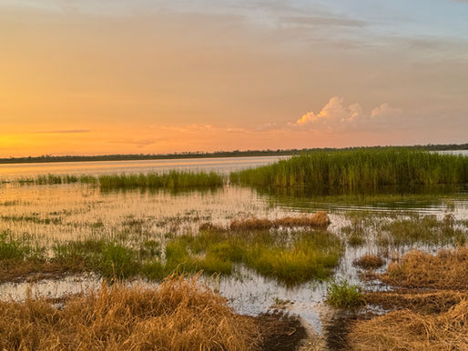 A Remarkable Evening at Myakka River State Park