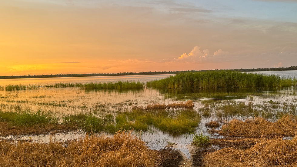 A Remarkable Evening at Myakka River State Park