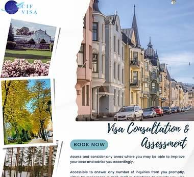 VISA CONSULTATION & ASSESSMENT.png