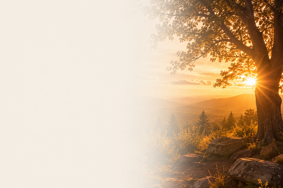 A72CF940-1C44-4B44-9D32-A4AA28E07B8D.PNG