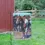 Thumbnail: Painted Horse Garden Flag