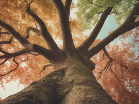 Life insights: Embracing change and growth through the seasons