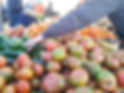 tomates mercado colmenar viejo.jpg