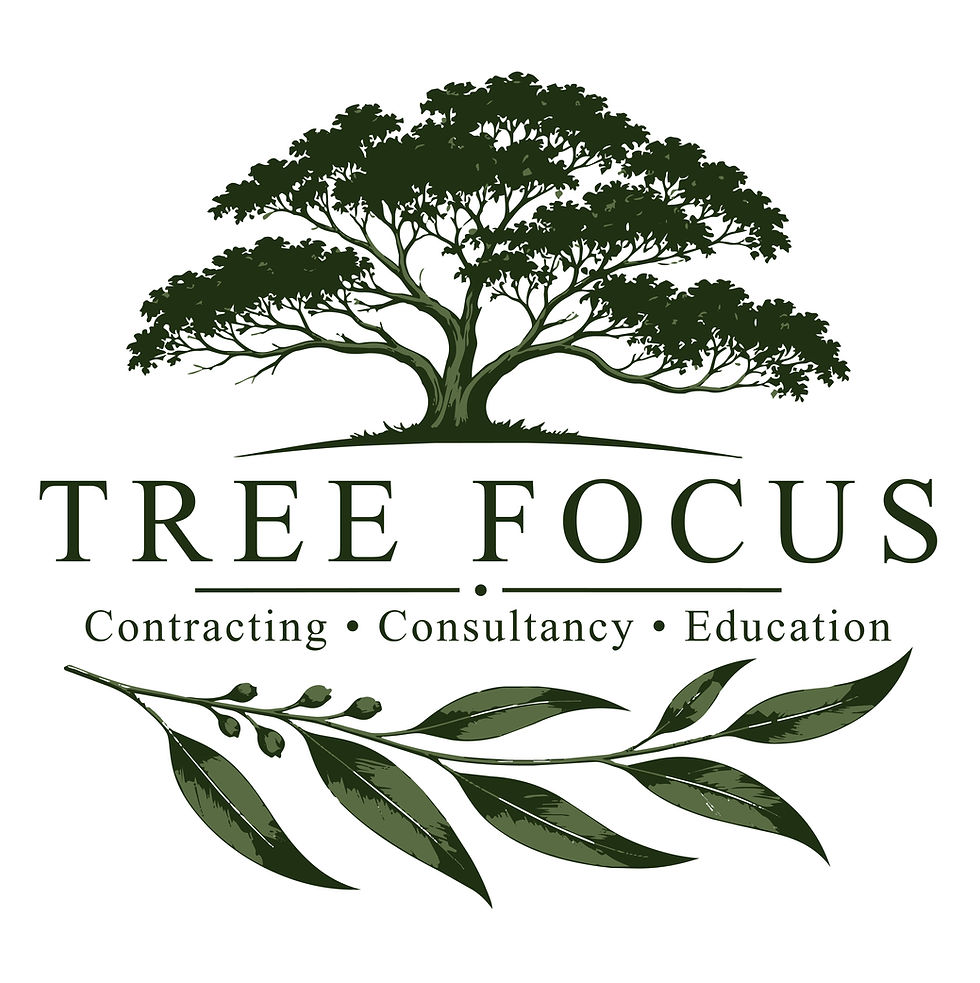 Tree Focus Arboriculture logo