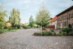 BARRExBlumenowTag1_DanielaMüller-5230