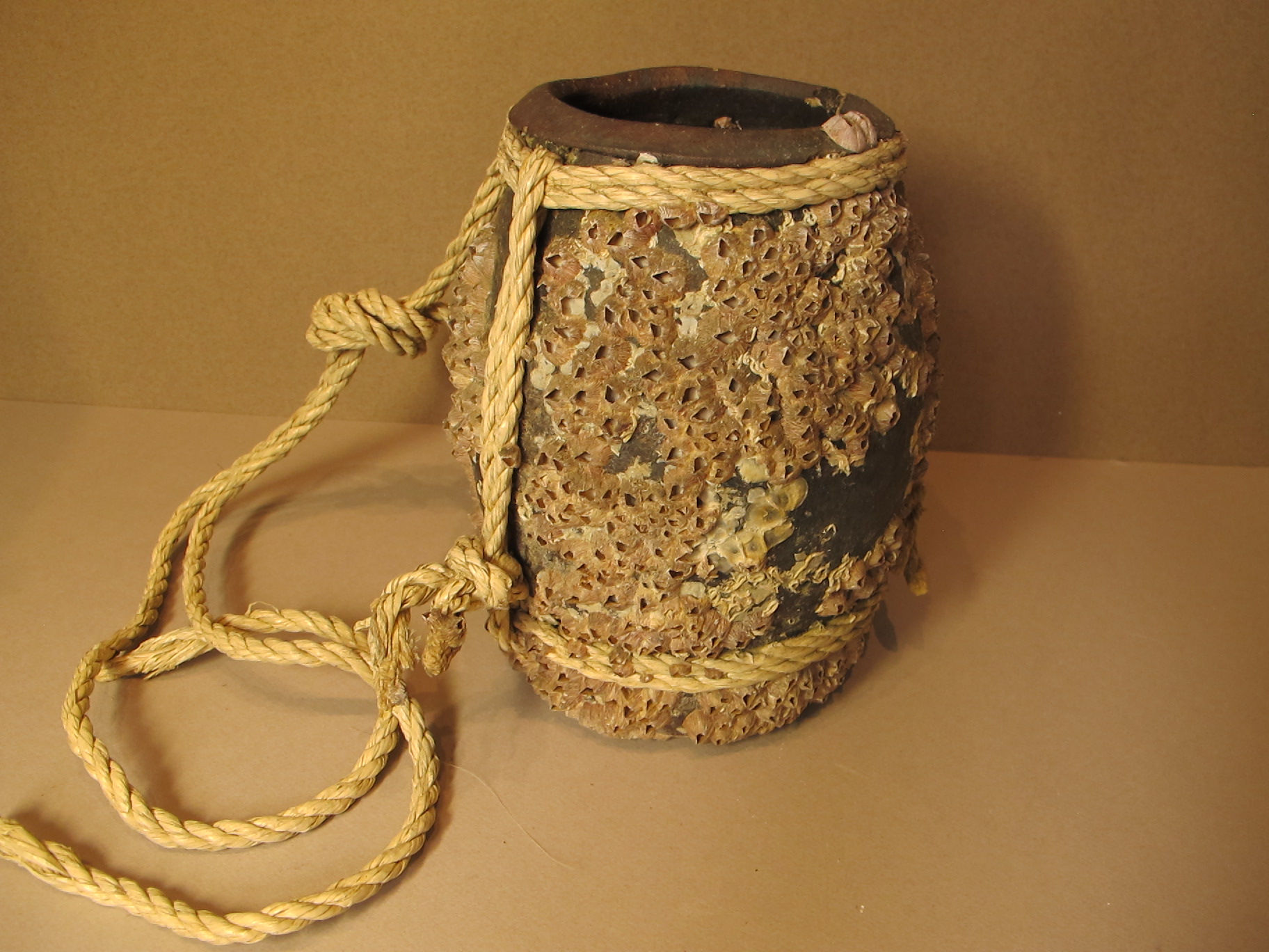 TAKO TSUBO