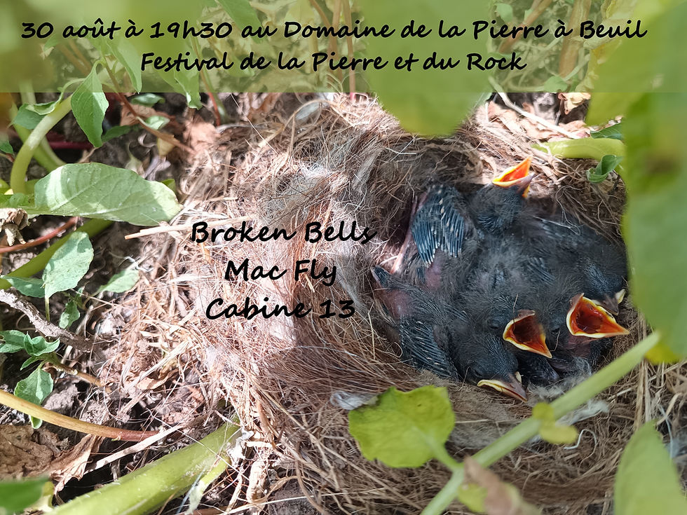 Festival de la Pierre et du Rock