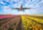 aircraft-flying-over-flowers