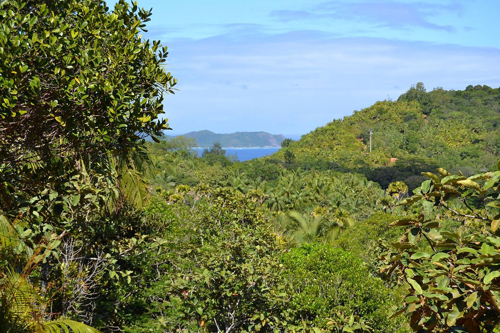 Seychelles Vallée de Mai