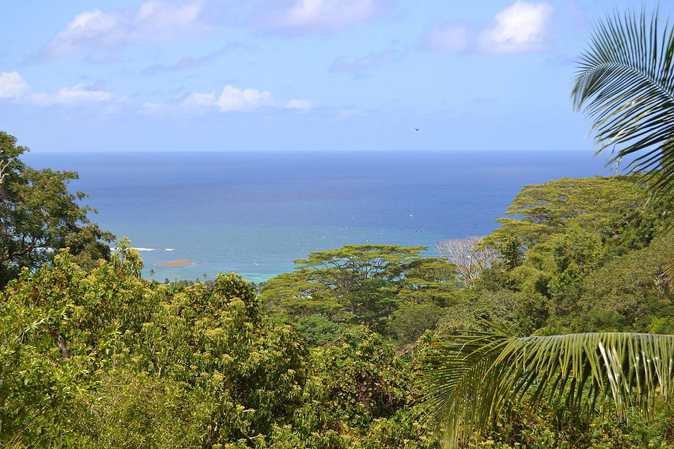 Seychelles 970.JPG