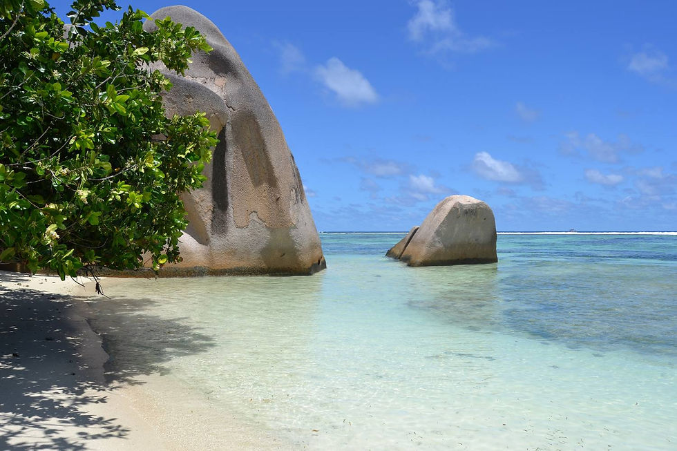 Seychelles 551.JPG