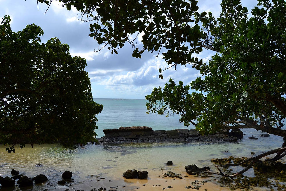 Seychelles 060.JPG