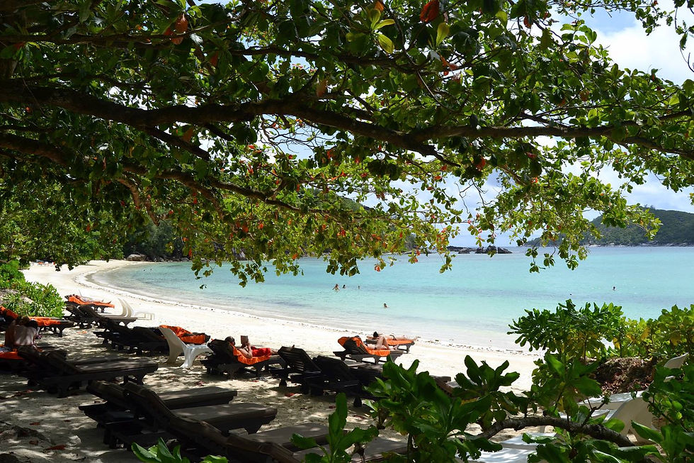 Seychelles 135.JPG