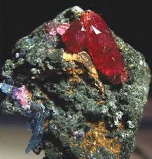 images-3_edited.jpg
