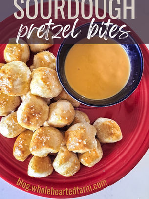 Sourdough Pretzel Bites