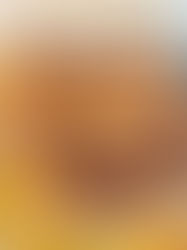 Cheesy Sourdough Sloppy Joe Rolls