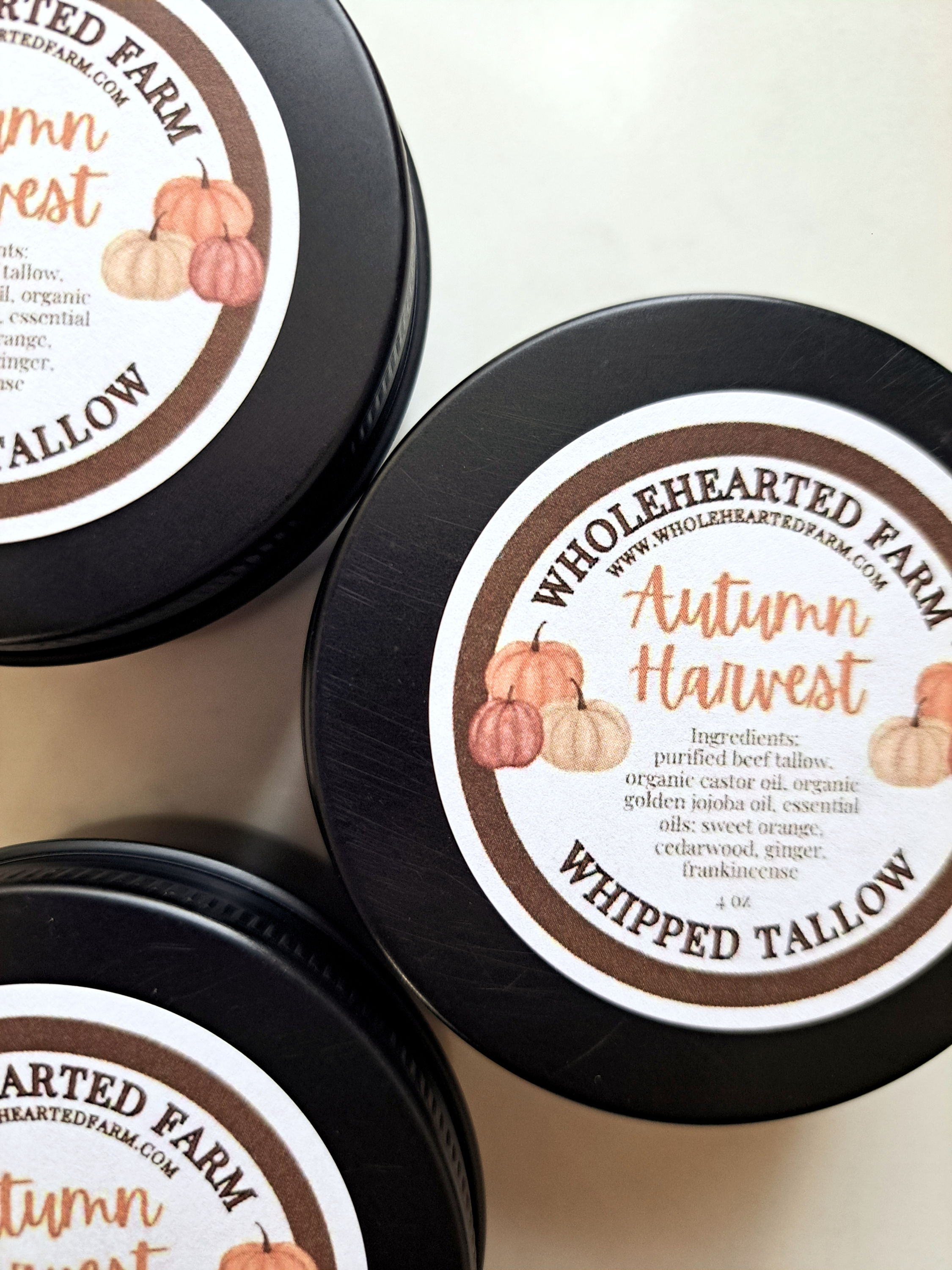 Autumn Harvest