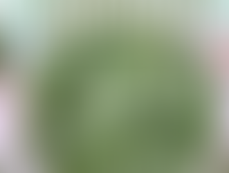 The More You Grow: Growing and Harvesting Garden Spinach