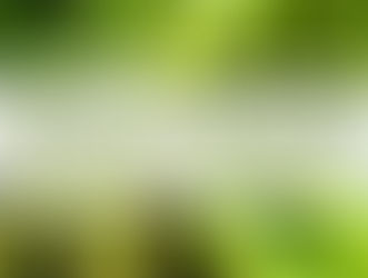 The More You Grow: Green Beans