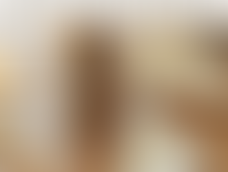 Sourdough Artisan Bread