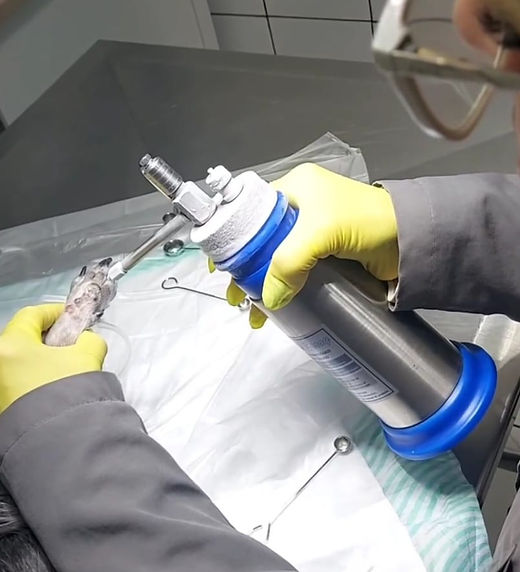 Vetedermo Crioterapia 2.jpeg