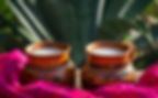 Pulque