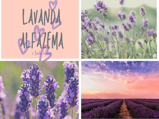 Lavanda*Alfazema