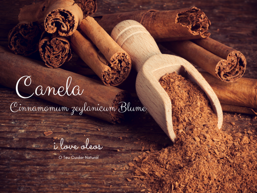 Canela | Cinnamomum zeylanicum Blume
