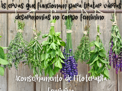 Aconselhamento de Fitoterapia Feminina