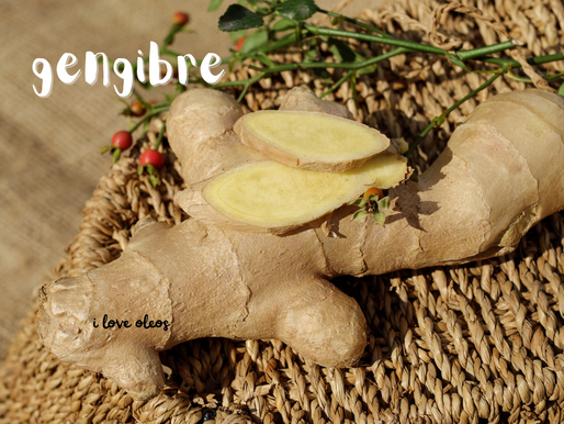 Gengibre