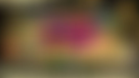 Tahniah ! Member Rwc77 mendapat Major Jackpot dalam Game MEGA888! Nasib Baik!