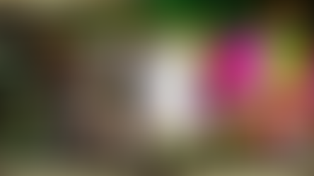 恭喜RWC77会员在 LIVE22 洗大钱 RM2,600.00 快来试试运气!!!