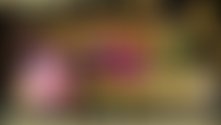 Tahniah ! Member Rwc77 mendapat Major Jackpot dalam Game MEGA888! Nasib Baik!