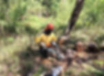 Chainsaw Courses