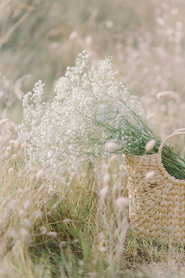The Rooted Wild baby breath.jpg