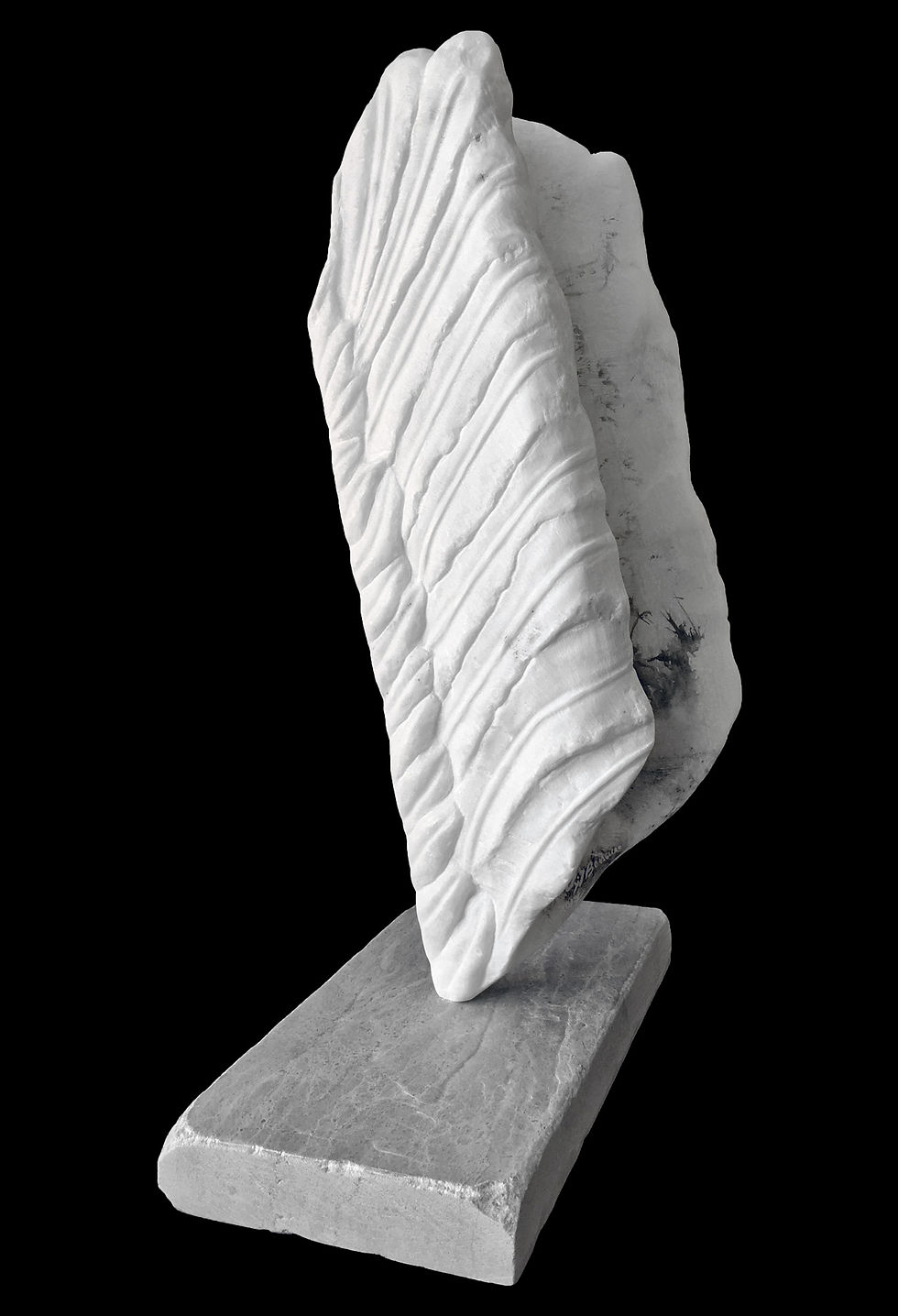 Nascent (Wings Series)