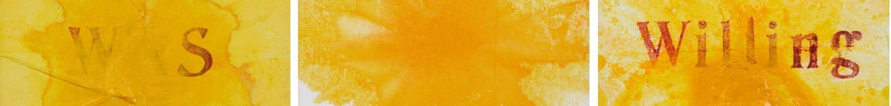 One Woman's Story - Terry Dixon