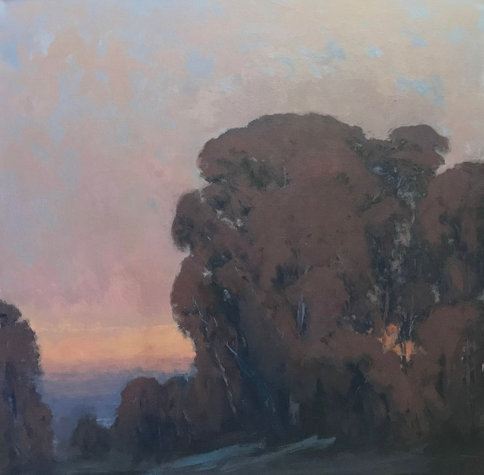 Trees Dusk