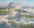 Flight of the Seabird