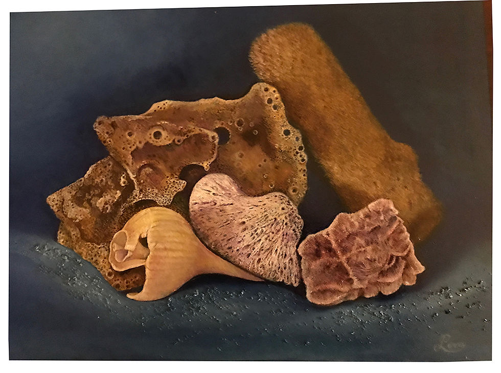 Sea findings