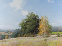 Rolling Hills 2022.jpeg