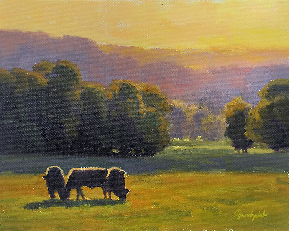 Three Steers