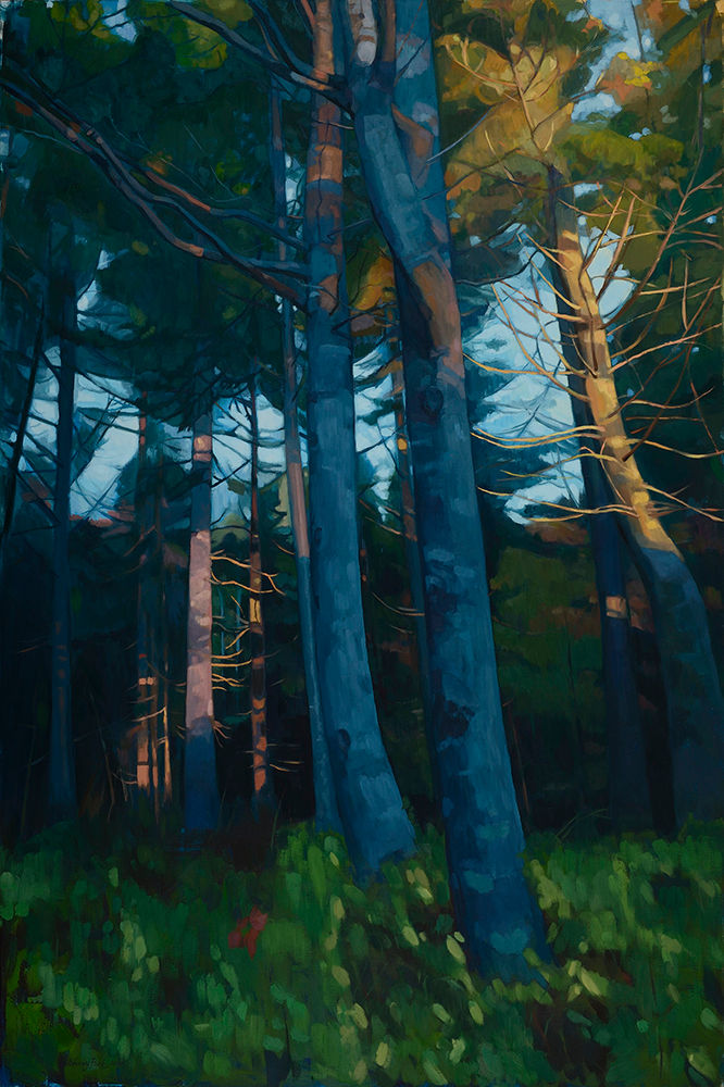 Franey Sunrise