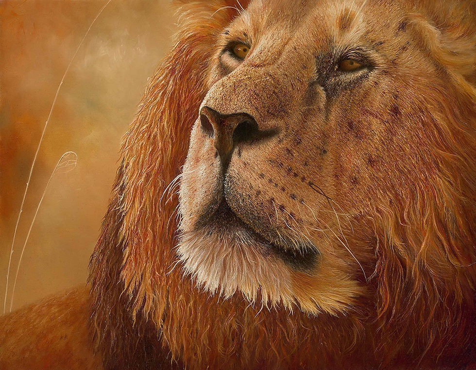 Lion Light