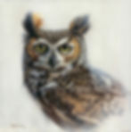 Wise Gaze